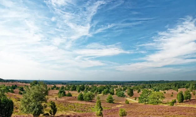 ✨ God Is Complete and Lives Forever: Rebirth Beyond the False Self | Master Woo Myung | Santa Clara Meditation