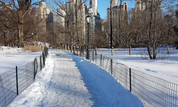 ❄️ Old Memories: Longing Ancestors Greed and the Flow of Life | Master Woo Myung | Santa Clara Meditation