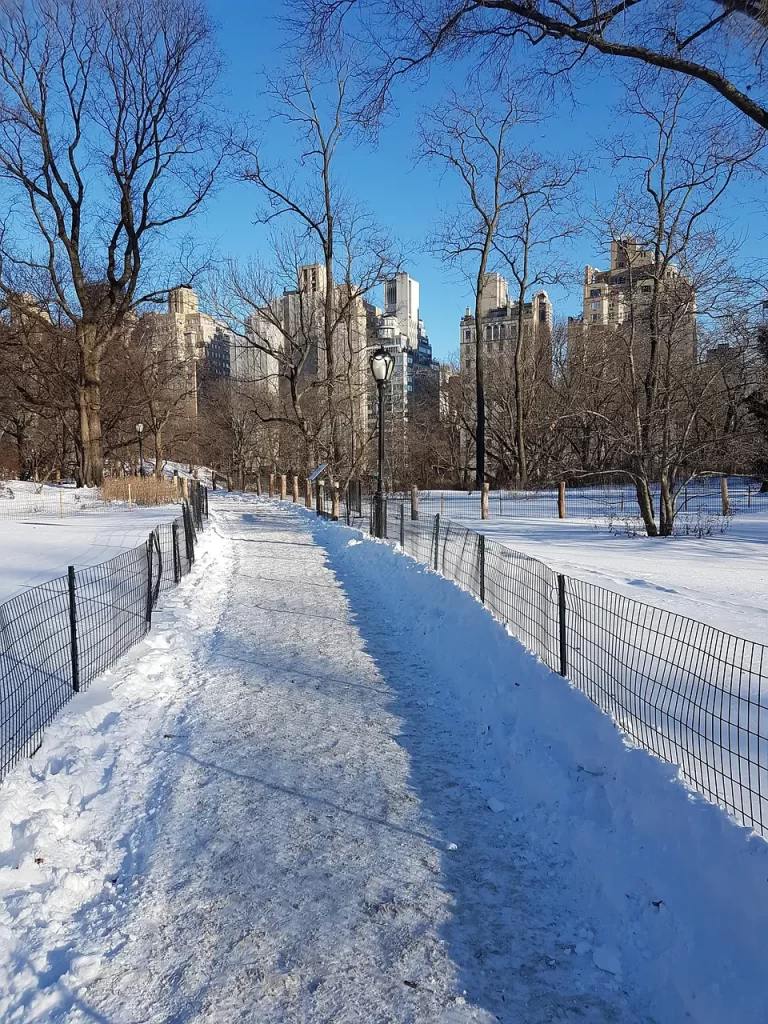 Master Woo Myung teaching on old memories ancestors longing greed and life