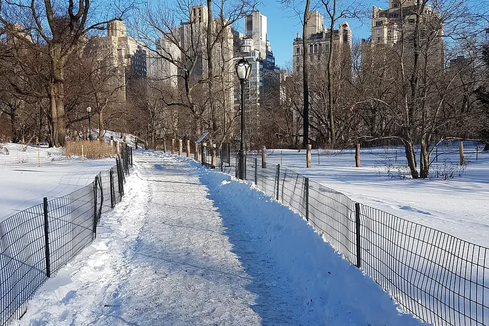 ❄️ Old Memories: Longing Ancestors Greed and the Flow of Life | Master Woo Myung | Santa Clara Meditation