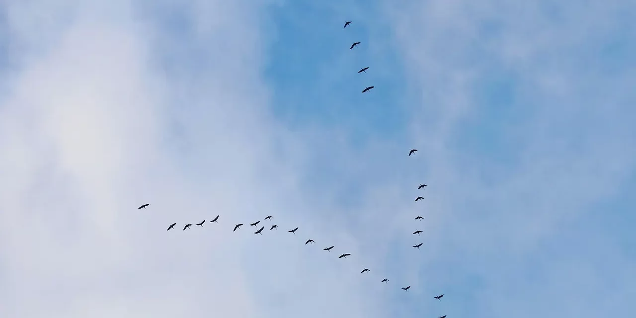 🌌 “He Has Died” vs “He Has Returned”: The Meaning of Death | Master Woo Myung | Santa Clara Meditation