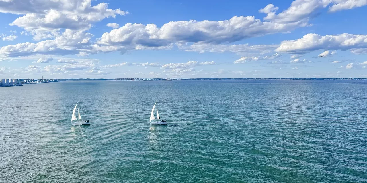 🤲 Embrace True Fulfillment: Mastery Freedom Truth Universe Within | Master Woo Myung | Santa Clara Meditation