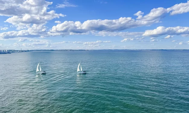 🤲 Embrace True Fulfillment: Mastery Freedom Truth Universe Within | Master Woo Myung | Santa Clara Meditation