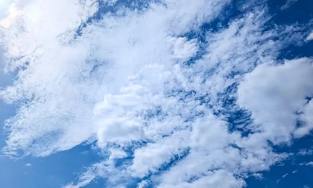 🔥 We Can Only Offer and Teach What We Are Capable Of: Truth Teaching Ability and the True Mind | Master Woo Myung | Santa Clara Meditation