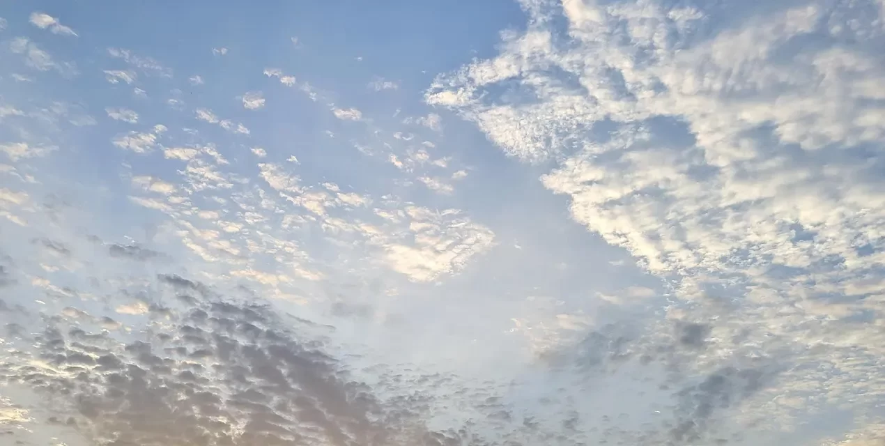 🌌 The Biggest, Widest, Lowest, and Highest Existence | Master Woo Myung | Santa Clara Meditation