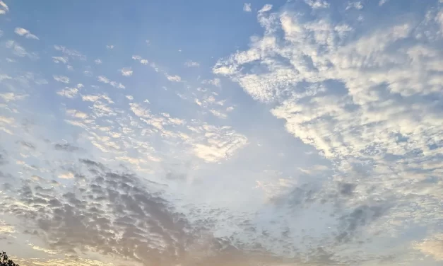 🌌 The Biggest, Widest, Lowest, and Highest Existence | Master Woo Myung | Santa Clara Meditation