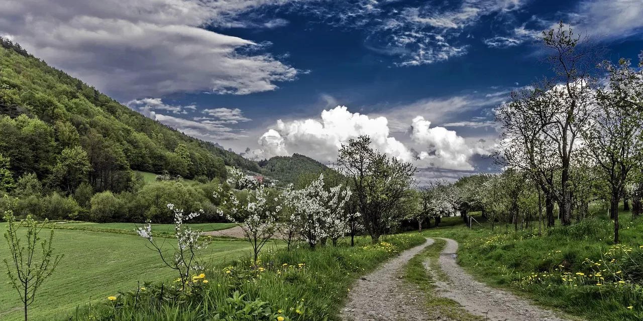 ⚖️ Man’s Sin: Becoming One with Truth | Master Woo Myung | Santa Clara Meditation