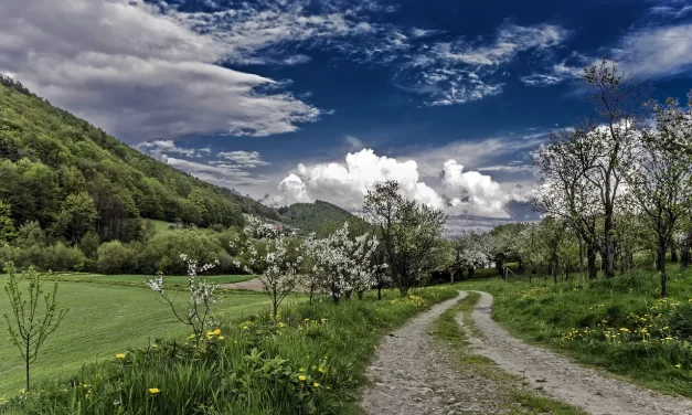 ⚖️ Man’s Sin: Becoming One with Truth | Master Woo Myung | Santa Clara Meditation