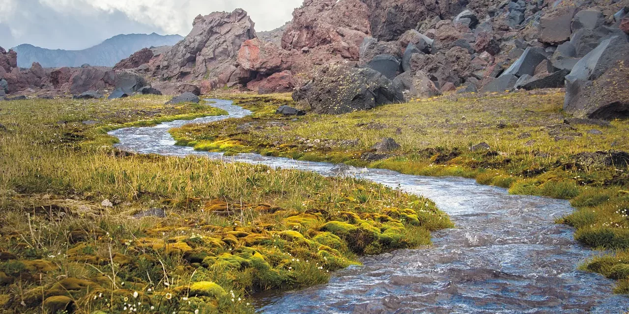 🌊 Will You Vanish Forever or Live as an Immortal? | Master Woo Myung | Santa Clara Meditation