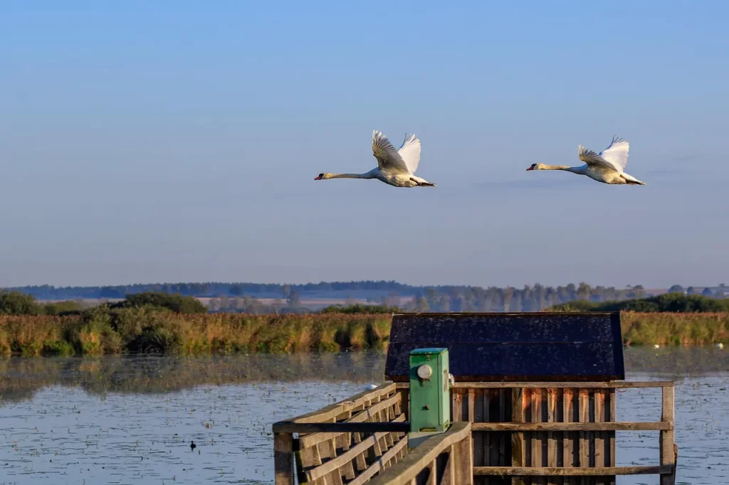 Master Woo Myung where is God omnipresent meditation teaching