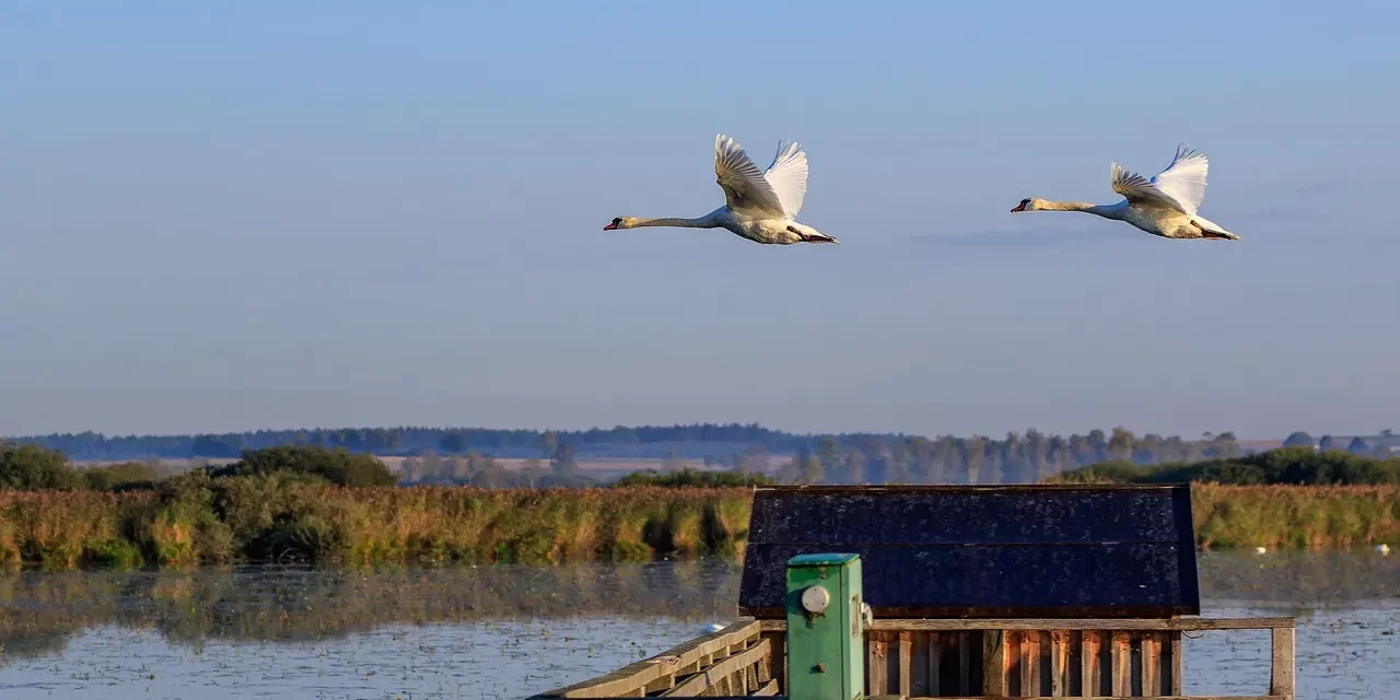 🔍 Where Is God: Omnipresent Truth Universe Existence Reality | Master Woo Myung | Santa Clara Meditation