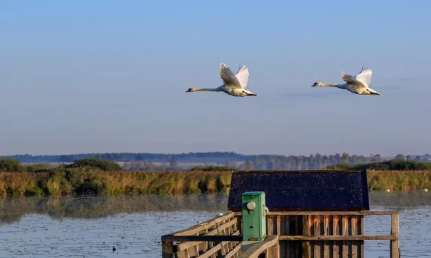 🔍 Where Is God: Omnipresent Truth Universe Existence Reality | Master Woo Myung | Santa Clara Meditation
