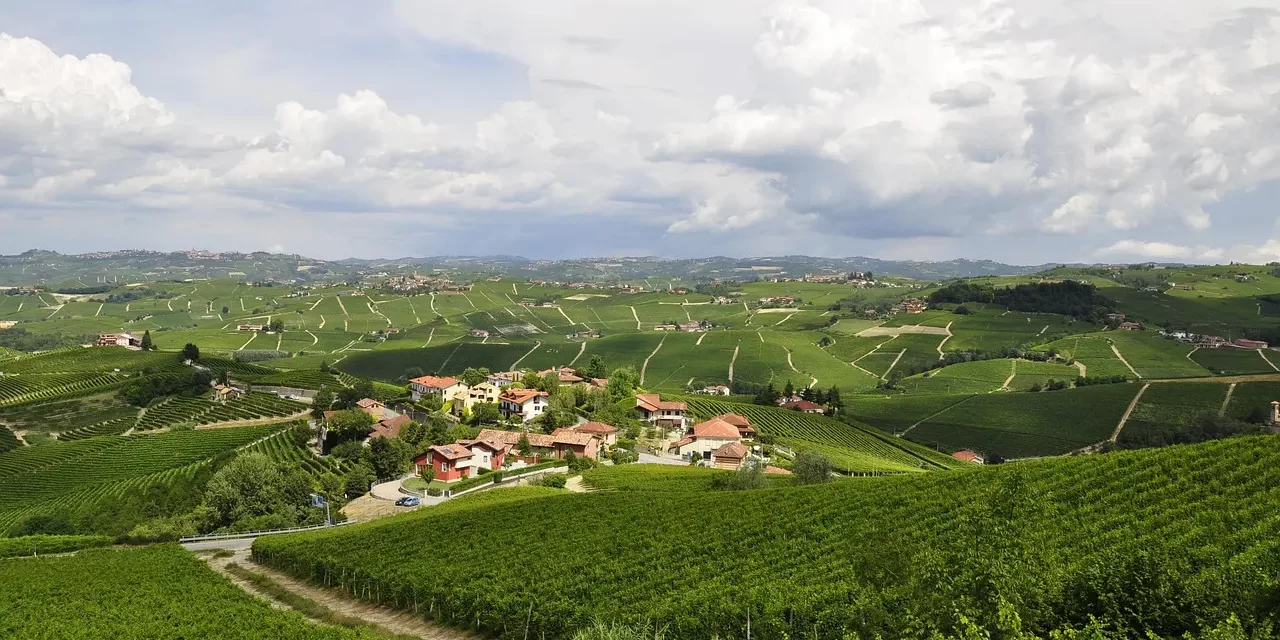 🌿 Let’s Find It Within: True Freedom Beyond Attachment and the Mind | Master Woo Myung | Santa Clara Meditation