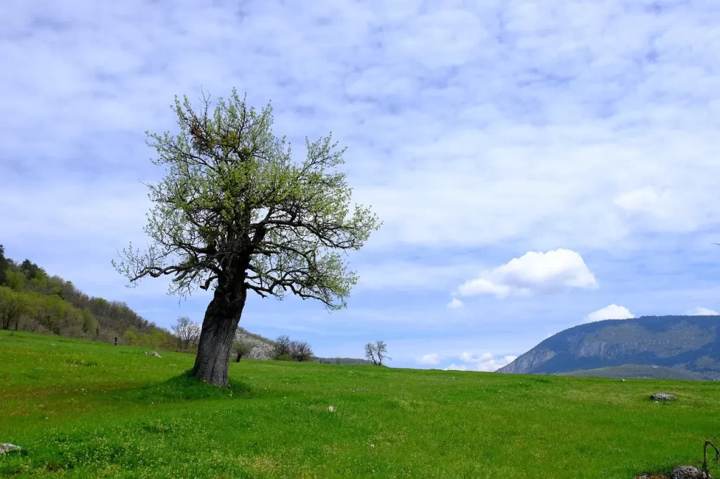 Master Woo Myung teaching about true life mind world truth and becoming one with the Universe