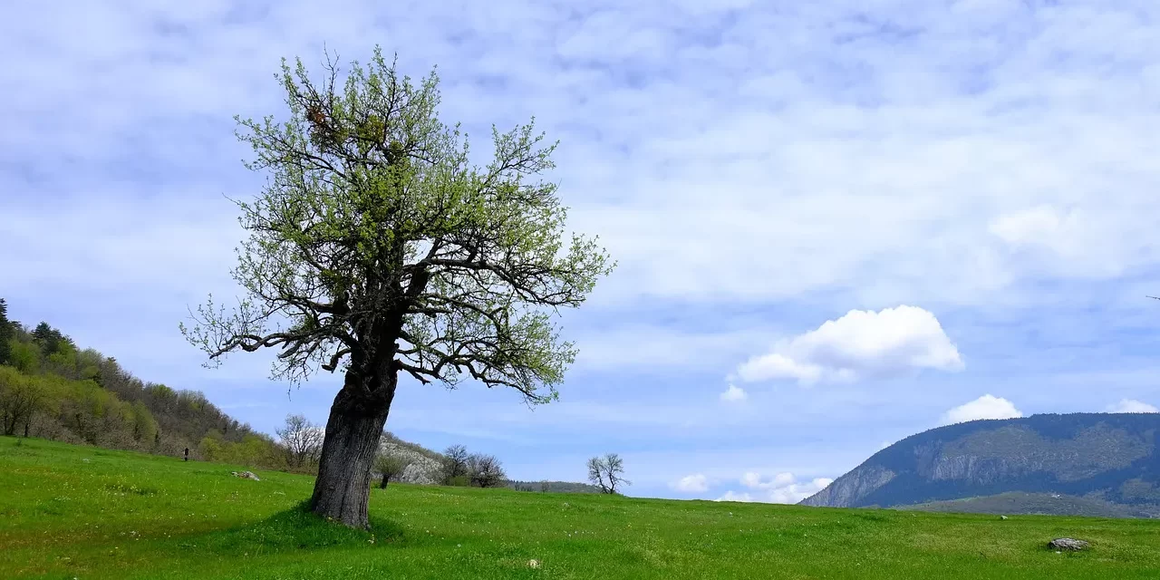 🌍 LET’S LIVE A LIFETIME OF THE WORLD TRUE LIFE AND TRUTH EXPLAINED | Master Woo Myung | Santa Clara Meditation