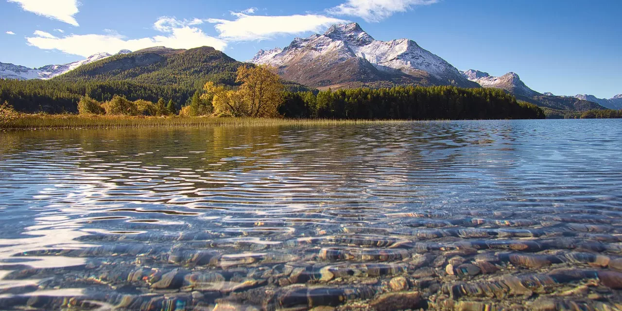 ⚡ SUDDEN ENLIGHTENMENT IS IT POSSIBLE THE PROCESS OF TRUE AWAKENING | Master Woo Myung | Santa Clara Meditation