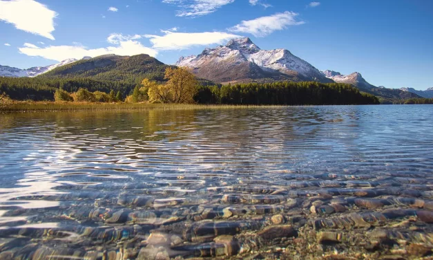 ⚡ SUDDEN ENLIGHTENMENT IS IT POSSIBLE THE PROCESS OF TRUE AWAKENING | Master Woo Myung | Santa Clara Meditation