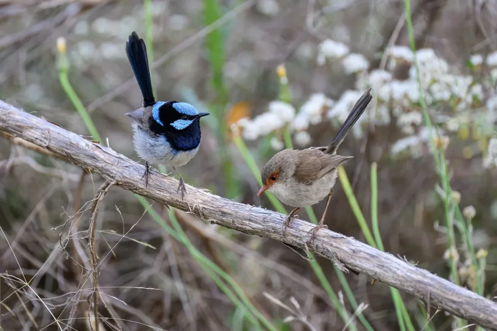 Master Woo Myung teaching on reincarnation samsara karma oneness and creation