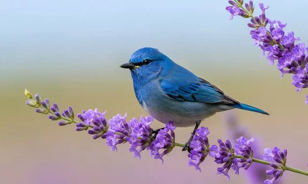 ✨ Human Completion: Becoming Truth and the Perfect Life | Master Woo Myung | Santa Clara Meditation