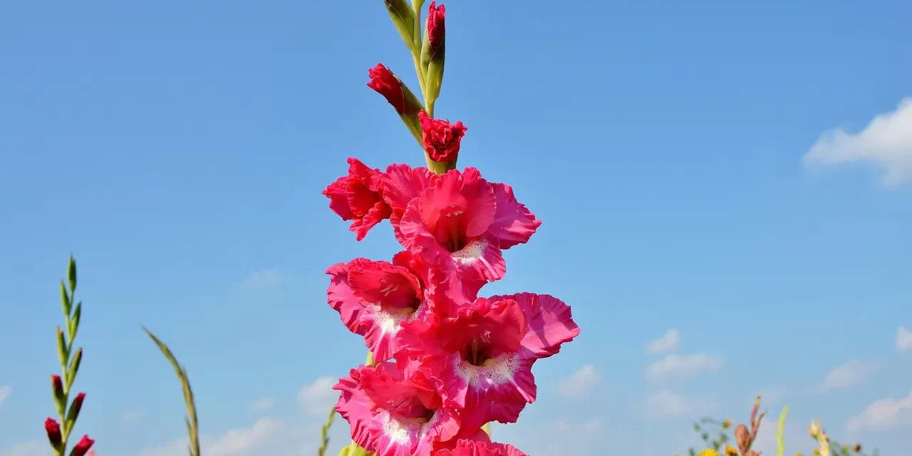 ✨ How Can I Start My Life Over and Live a Happy Life? | Master Woo Myung | Santa Clara Meditation