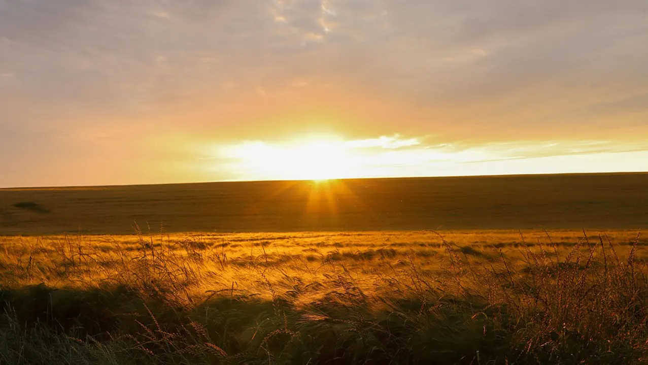 All meditation videos collection from Master Woo Myung covering mind, life, health, and enlightenment