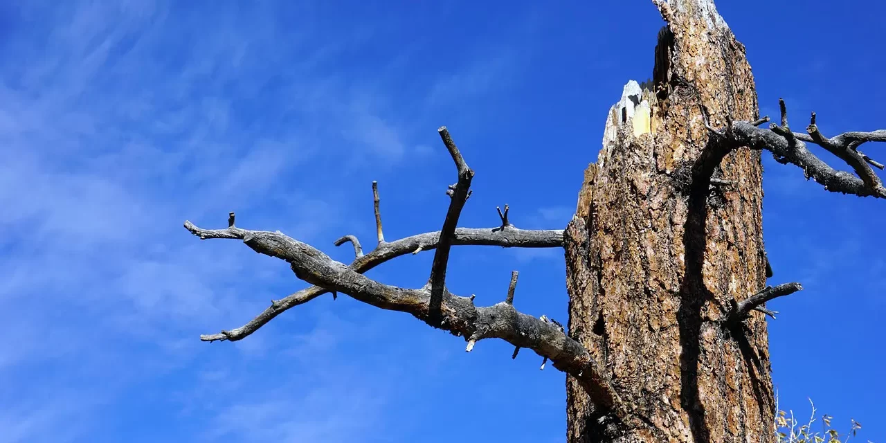 ✝️ What Jesus Meant When He Said “It Is Finished”: Completion Resurrection and Eternal Life in Truth | Master Woo Myung | Santa Clara Meditation