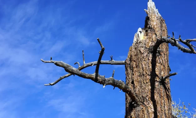 ✝️ What Jesus Meant When He Said “It Is Finished”: Completion Resurrection and Eternal Life in Truth | Master Woo Myung | Santa Clara Meditation