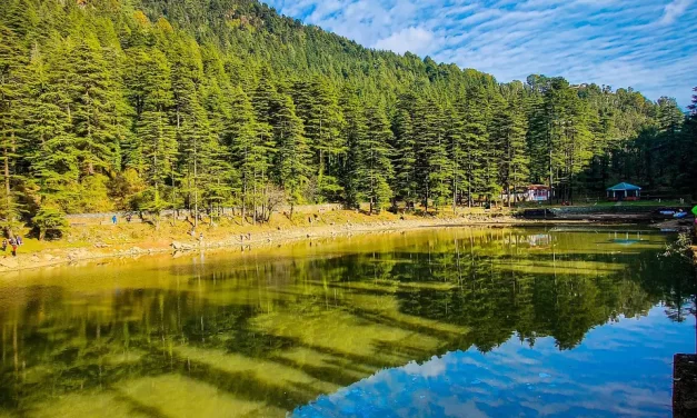 🌿 Providence I: Nature Harmony Truth Existence Flow | Master Woo Myung | Santa Clara Meditation