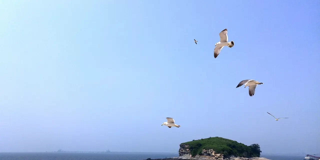 🌍 What Will Happen to the World’s Economy and Politics in the Future?: Unity Truth and the Future of Humanity | Master Woo Myung | Santa Clara Meditation