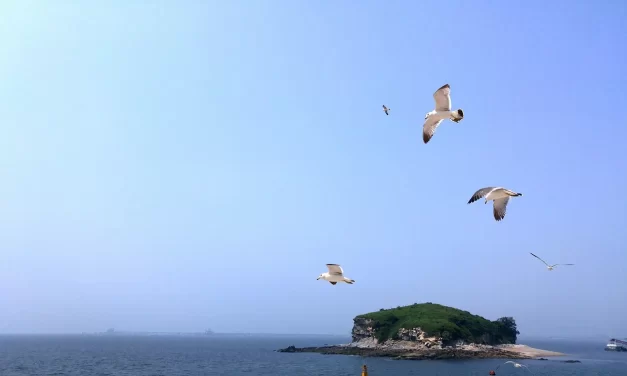 🌍 What Will Happen to the World’s Economy and Politics in the Future?: Unity Truth and the Future of Humanity | Master Woo Myung | Santa Clara Meditation