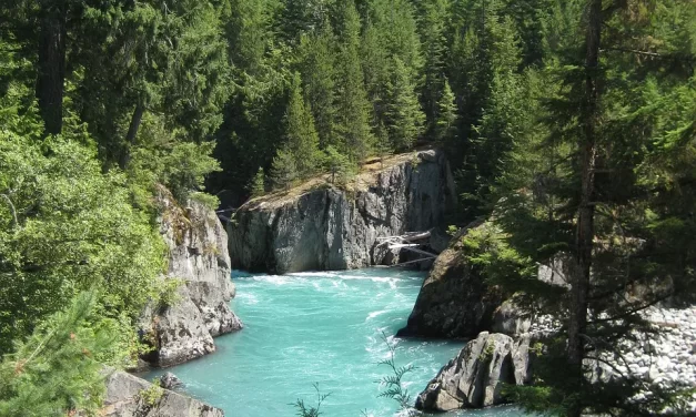 ✨ THE LIFE OF THE GOOD AND RIGHTEOUS TRUE GOODNESS EXPLAINED | Master Woo Myung | Santa Clara Meditation