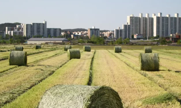 🌟 The True Mind: The Consciousness of the Universe | Master Woo Myung | Santa Clara Meditation