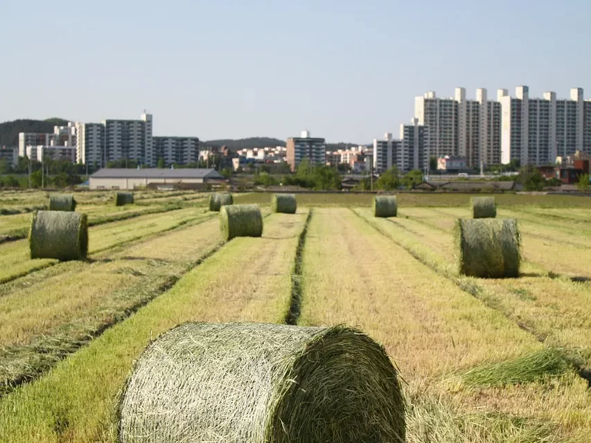 🌟 The True Mind: The Consciousness of the Universe | Master Woo Myung | Santa Clara Meditation