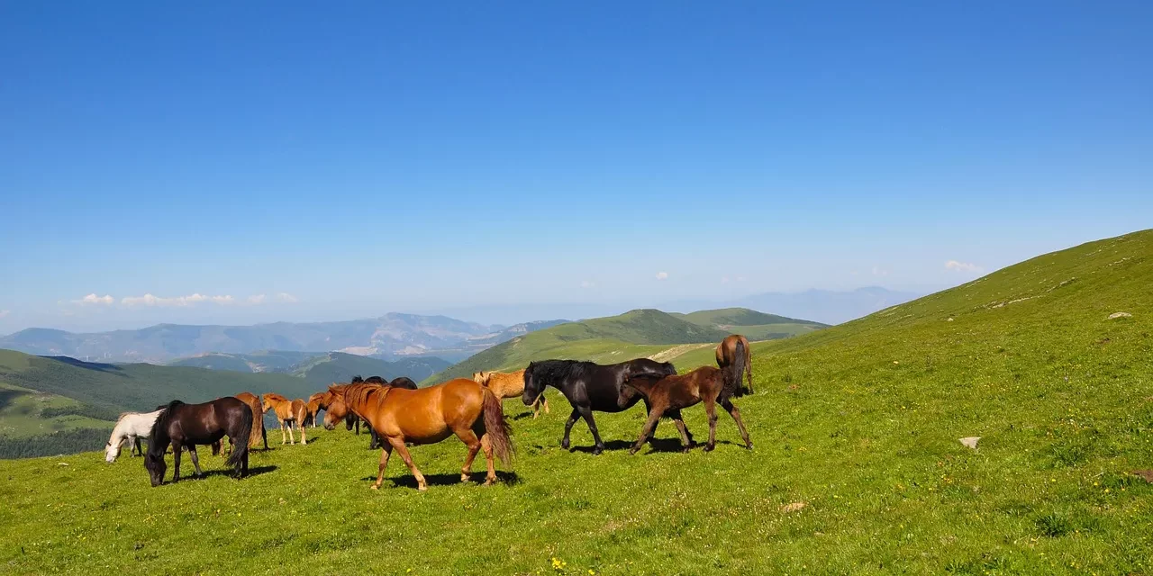 🔥 What Is the Difference Between Heaven and Hell?: Burdens Freedom After Death and the Mind | Master Woo Myung | Santa Clara Meditation
