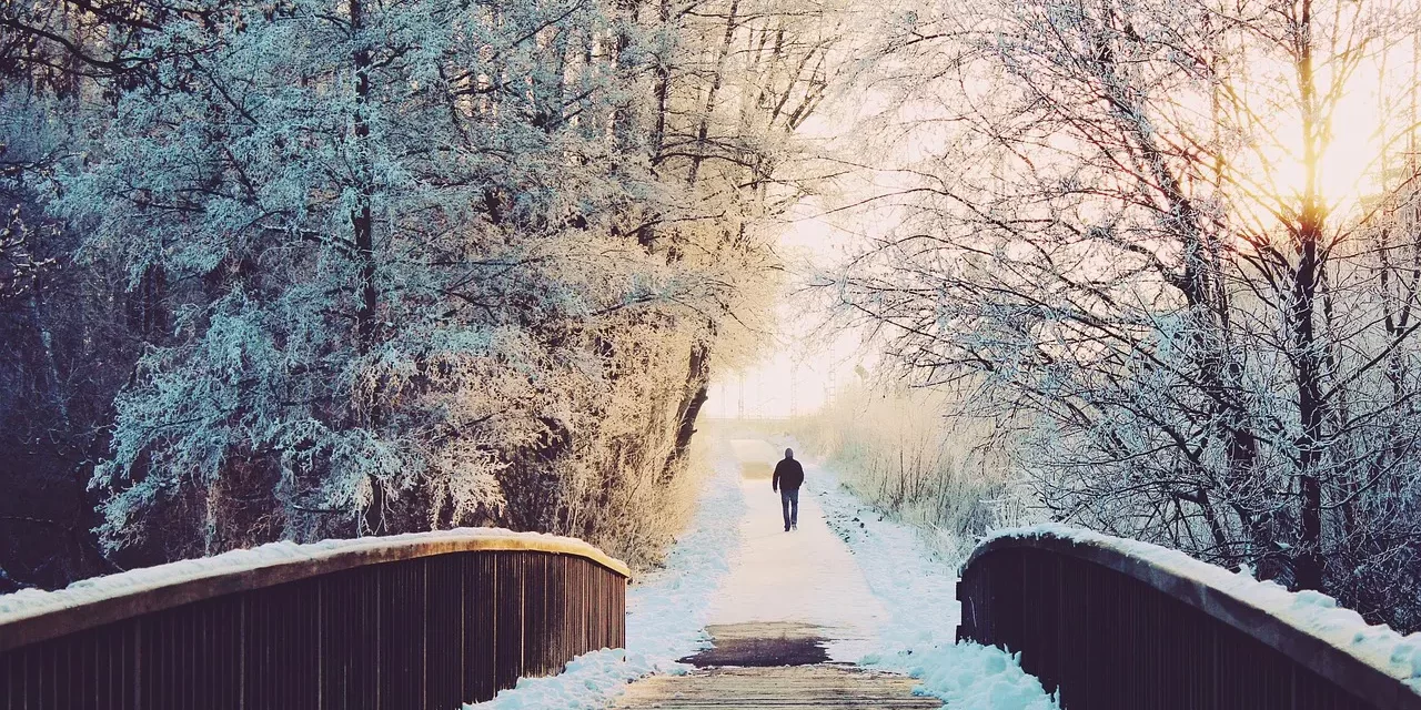 🌿 False Mind, True Mind: False Mind True Mind Trials Big Minded True Person | Master Woo Myung | Santa Clara Meditation