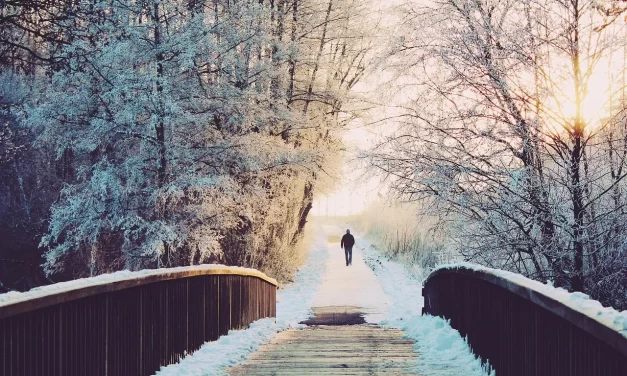 🌿 False Mind, True Mind: False Mind True Mind Trials Big Minded True Person | Master Woo Myung | Santa Clara Meditation