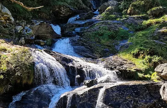 💧 Water: Flowing Without Conflict as Living Truth | Master Woo Myung | Santa Clara Meditation