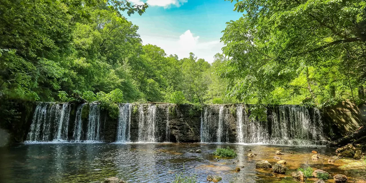 🍶 The Alcohol I Drank in the Past World: Illusion Memories and Awakening to Truth | Master Woo Myung | Santa Clara Meditation