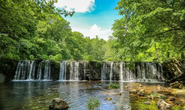 🍶 The Alcohol I Drank in the Past World: Illusion Memories and Awakening to Truth | Master Woo Myung | Santa Clara Meditation