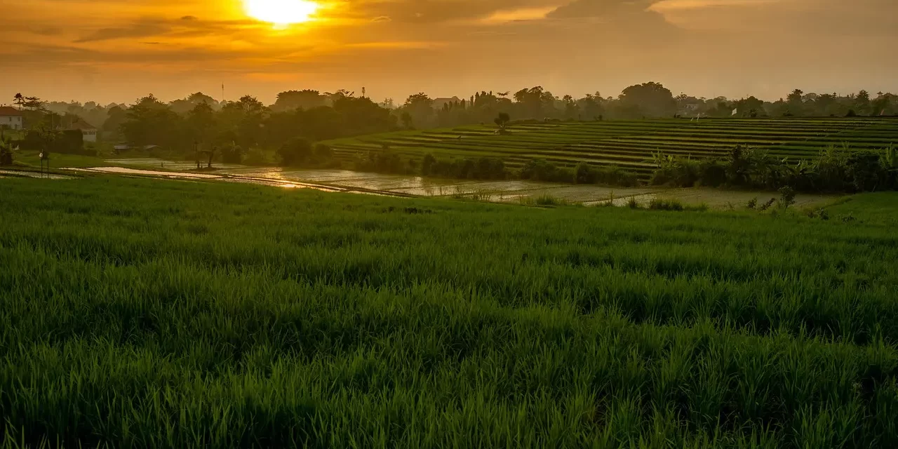 🌌 What Is an Out-of-Body Experience: Mind Soul Time Space Truth | Master Woo Myung | Santa Clara Meditation