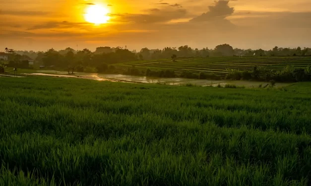 🌌 What Is an Out-of-Body Experience: Mind Soul Time Space Truth | Master Woo Myung | Santa Clara Meditation