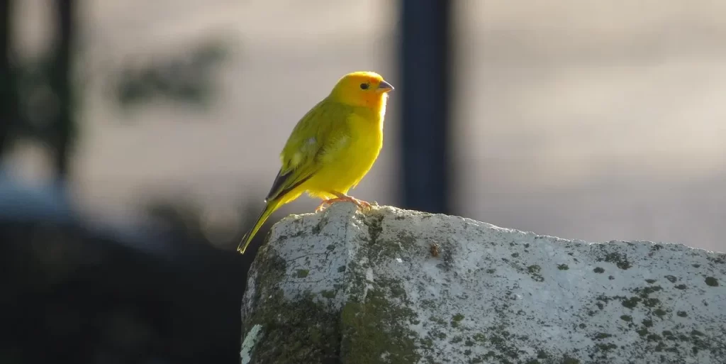 Master Woo Myung heaven hell illusion maya meditation teaching