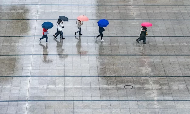 🌿 What One Must Do in Life: True Self Truth Completion Freedom | Master Woo Myung | Santa Clara Meditation