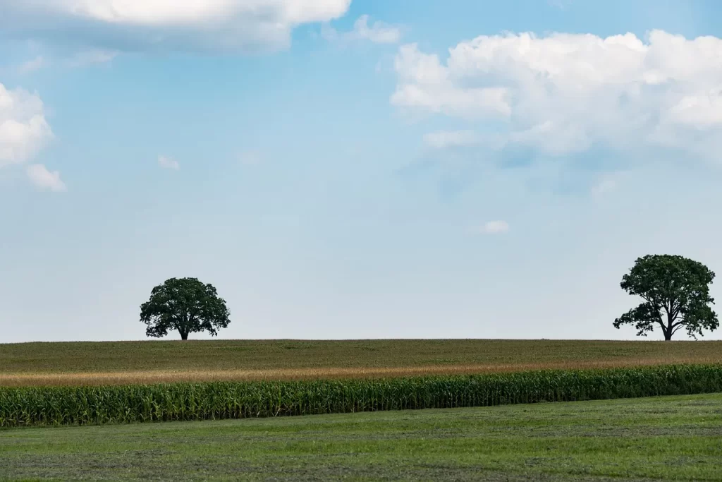 Master Woo Myung teaching on will of God non existence truth oneness