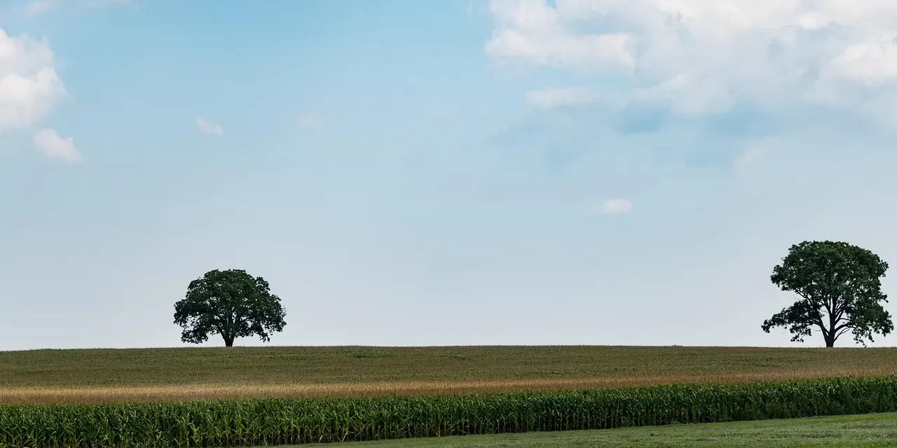 ✨ The Will of God: Non-Existence, Oneness, and Eternal Salvation | Master Woo Myung | Santa Clara Meditation