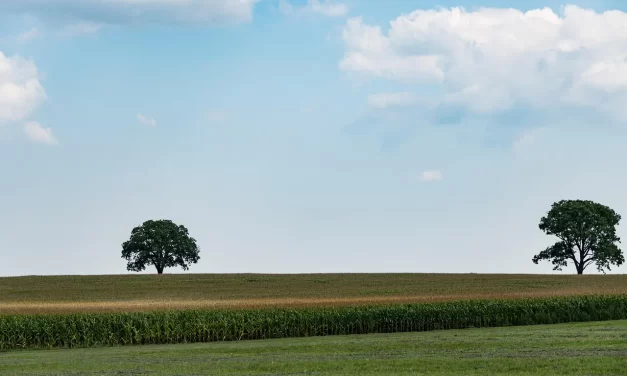 ✨ The Will of God: Non-Existence, Oneness, and Eternal Salvation | Master Woo Myung | Santa Clara Meditation