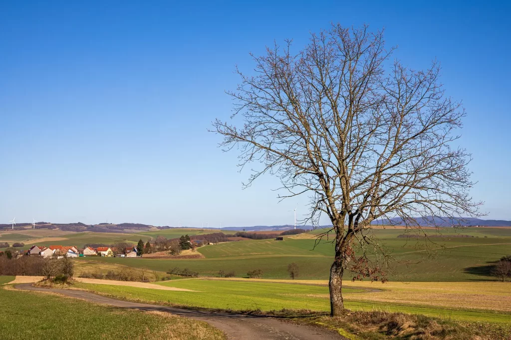 Master Woo Myung wandering life regret hometown suffering truth meditation