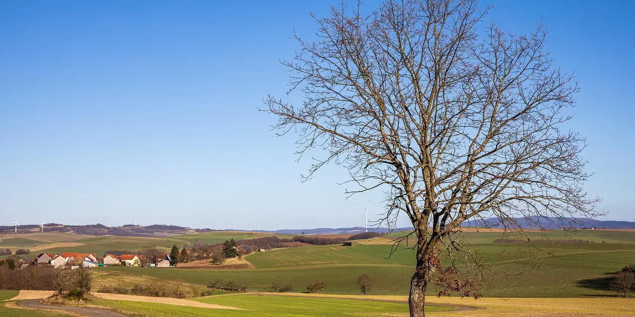 🌌 Wandering: Life Regret Hometown Truth Suffering | Master Woo Myung | Santa Clara Meditation