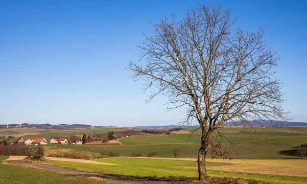 🌌 Wandering: Life Regret Hometown Truth Suffering | Master Woo Myung | Santa Clara Meditation