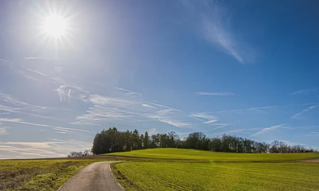 ✨ A Calling: Life Purpose Hope Youth Heaven Work Truth | Master Woo Myung | Santa Clara Meditation